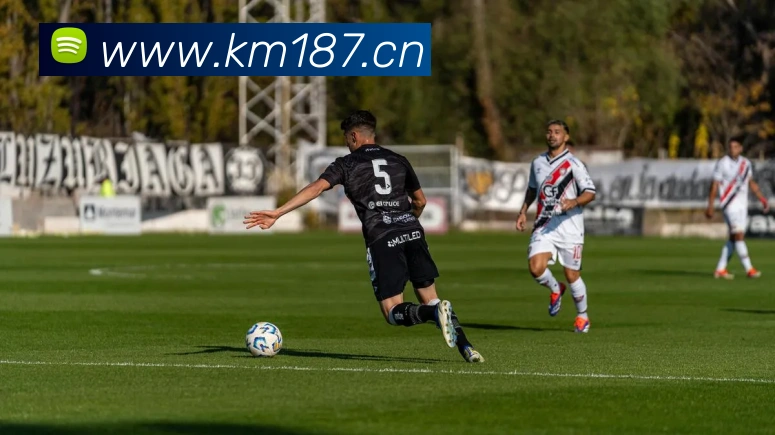 开云app官方官网平台生态图