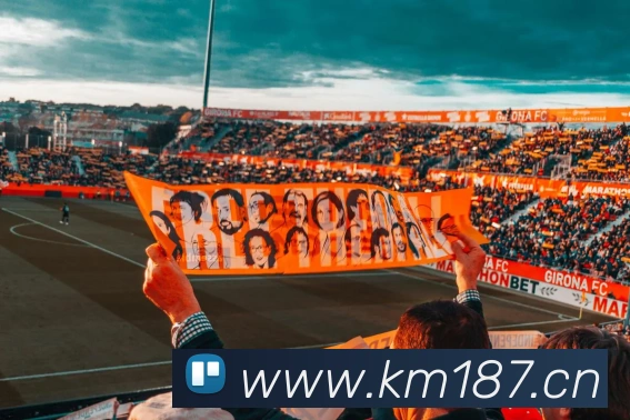 开云app官方官网APP 封面图